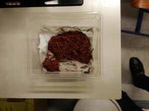 IMG_20250430_114936